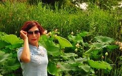 情难自禁 百度影音